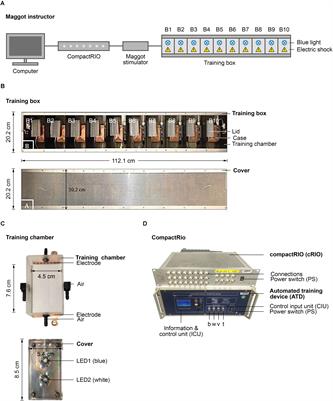 Maggot Instructor: Semi-Automated Analysis of Learning and Memory in Drosophila Larvae